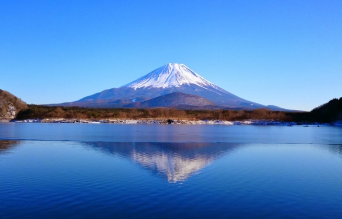 ウィークリー12月22日号